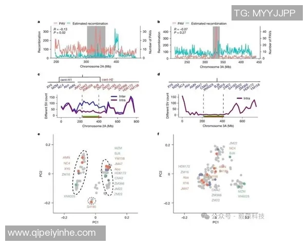 深入分析排列五历史开奖号码揭示的规律与趋势探讨