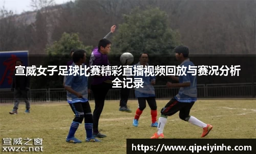 球速体育体育赛事