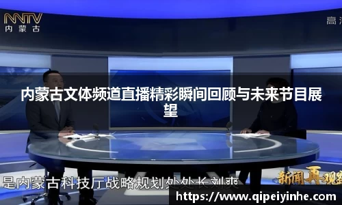 球速体育体育赛事