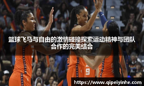 篮球飞马与自由的激情碰撞探索运动精神与团队合作的完美结合